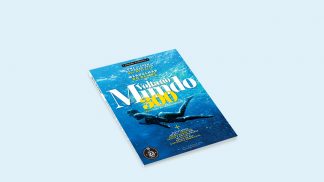 Revista Volta ao Mundo de outubro já está nas bancas – não perca esta edição especial! Revista Volta ao Mundo de outubro já está nas bancas - não perca esta edição especial!