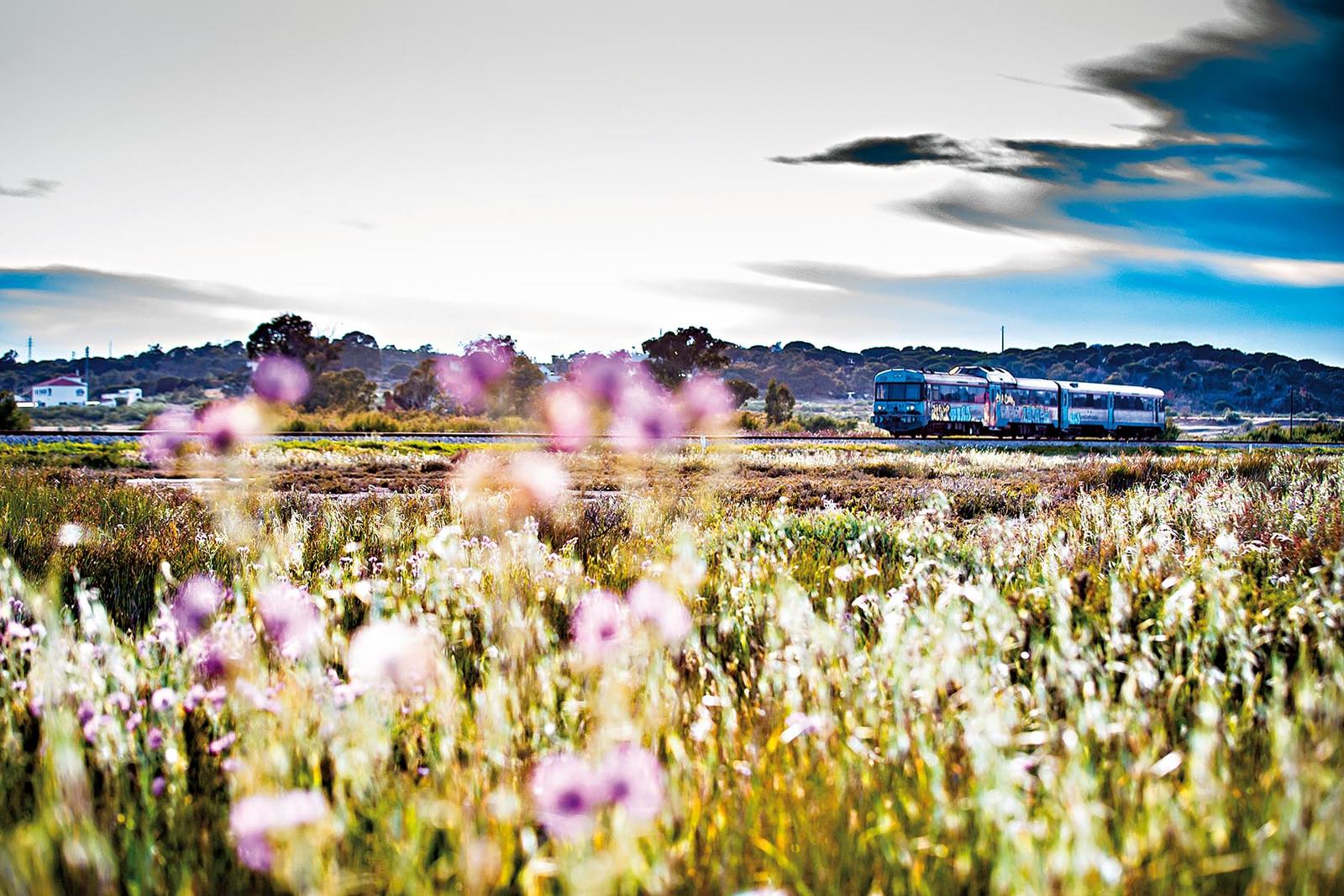 Reportagem sobre Turismo em Monte Gordo