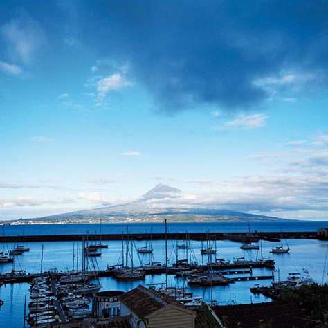 66068740_746546829094946_7407477391867510784_n