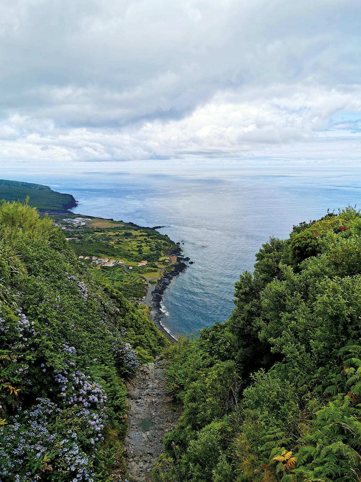 66246339_2283826158363171_1742224986514391040_n