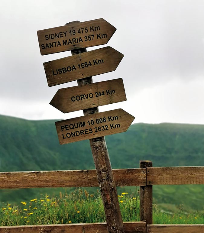 66342644_808245066243451_845479155624574976_n