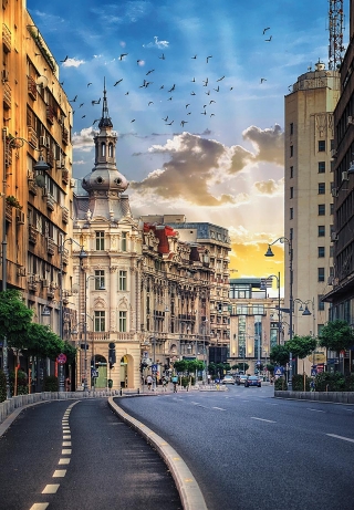 shutterstock_1051451828