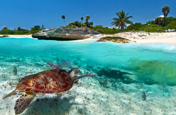 12993565-874437019345441-2503563790608330392-n_1_orig