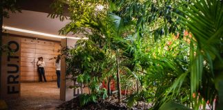 Preocupações com o futuro da alimentação em debate em São Paulo