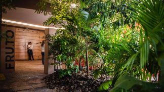 Preocupações com o futuro da alimentação em debate em São Paulo