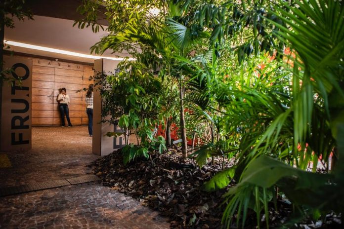 Preocupações com o futuro da alimentação em debate em São Paulo Preocupações com o futuro da alimentação em debate em São Paulo