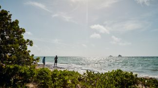 Há um emprego de sonho nas Bahamas à sua espera: saiba como se candidatar