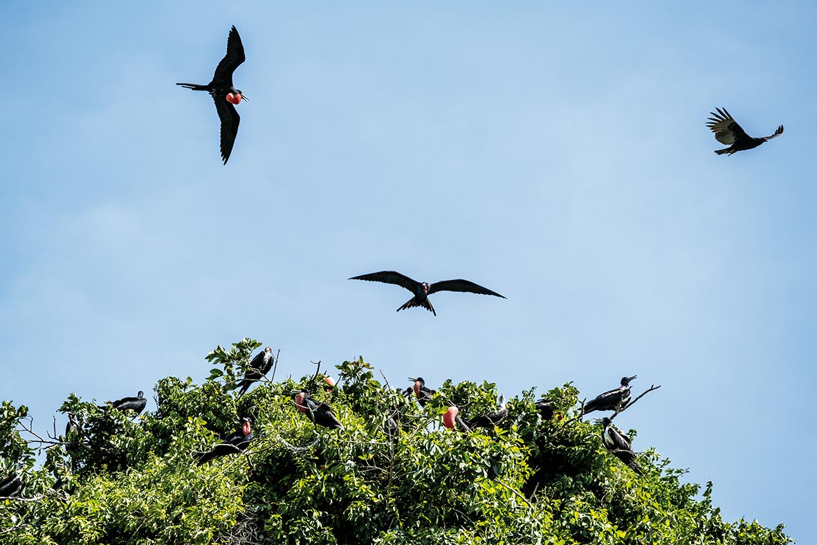 República Dominicana