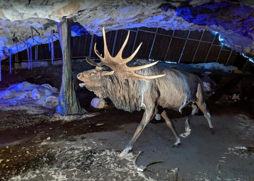 Cueva La Peruyal gmaps