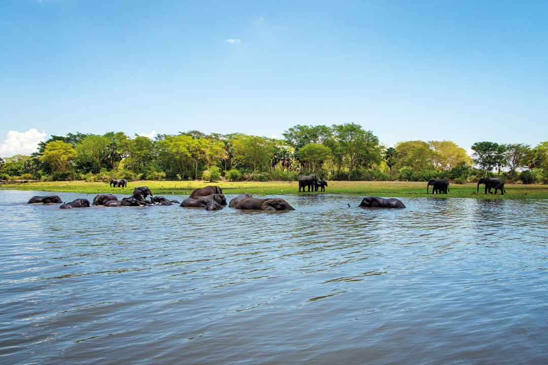 Malawi, África Minha