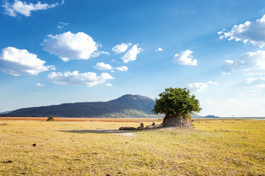 Malawi, África Minha