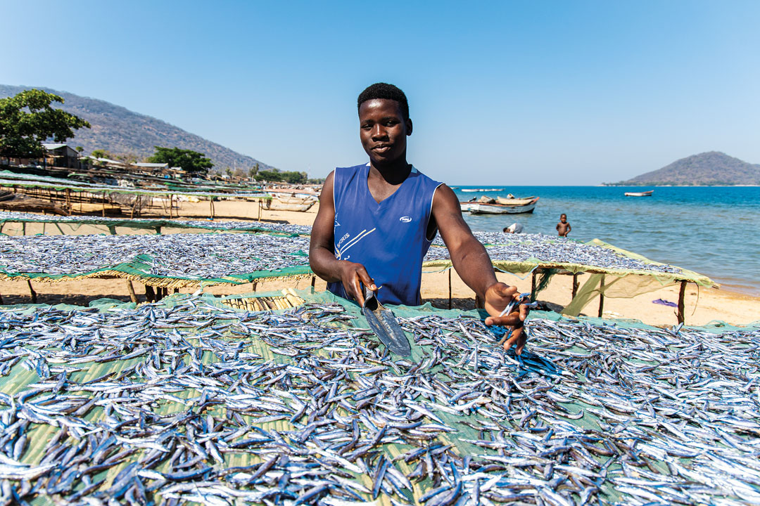 Malawi, África Minha