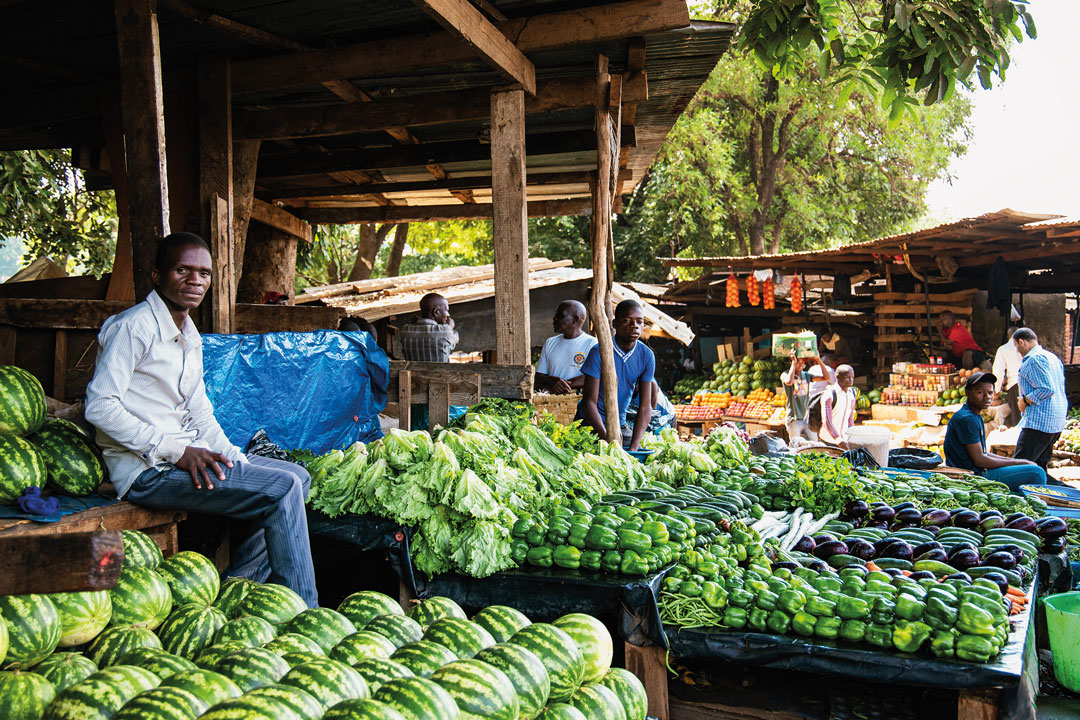 Malawi, África Minha