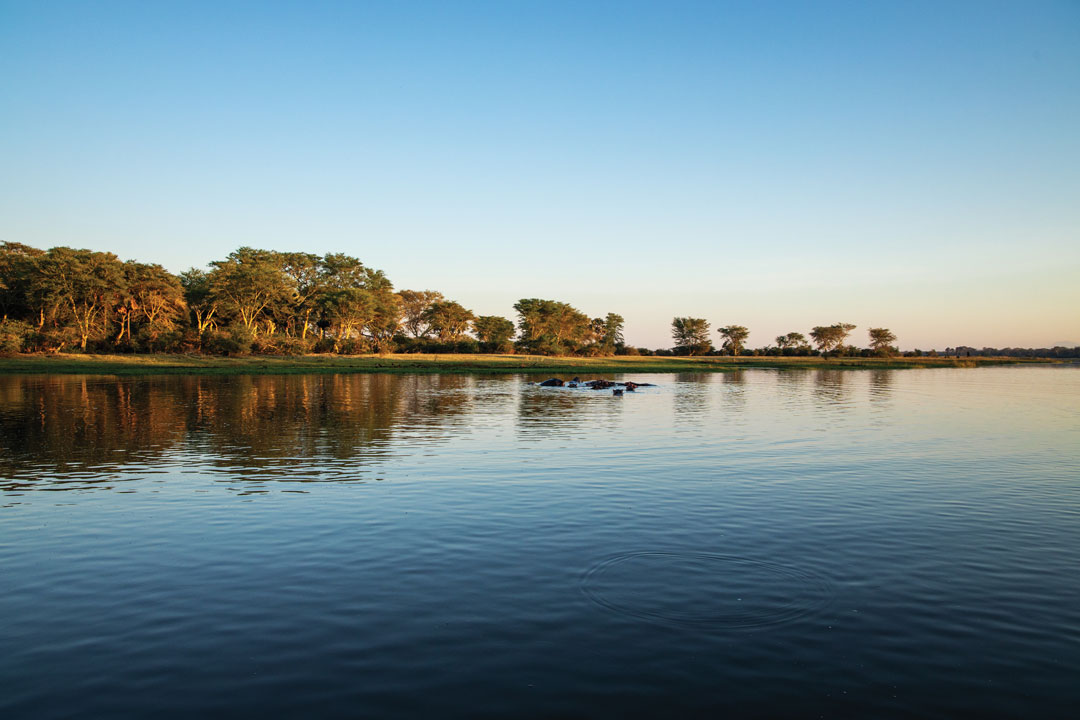 Malawi, África Minha