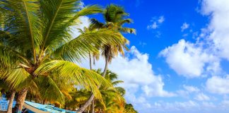 Bolsa de Turismo de Lisboa regressa com muitas novidades