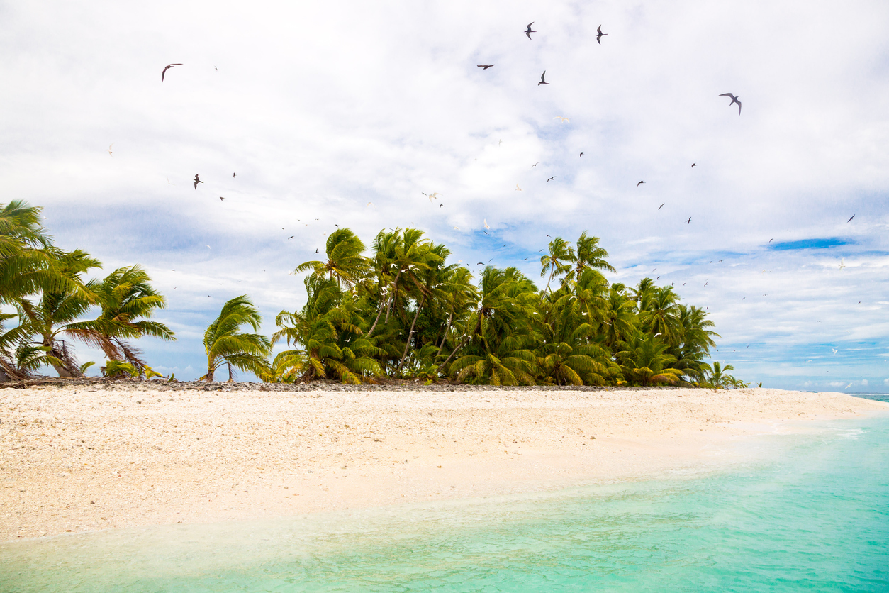 Small remote tropical island motu overgrown with palms. Sandy beach, flock of birds flying. Funafuti atoll, Tuvalu, Polynesia, South Pacific, Oceania