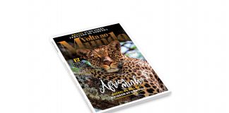 Subscreva a Volta ao Mundo de abril e aceda já à de março