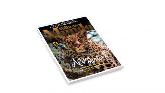 Volta ao Mundo de março já está nas bancas – há muitas surpresas para descobrir Subscreva a Volta ao Mundo de abril e aceda já à de março