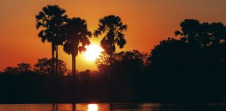 Safari no Malawi: a viagem de uma vida