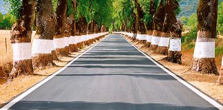 5 roadtrips para conhecer Portugal em família