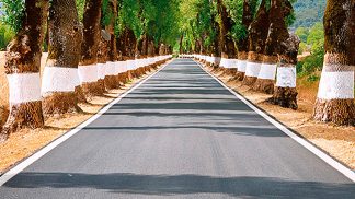 5 roadtrips para conhecer Portugal em família 5 roadtrips para conhecer Portugal em família