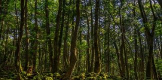 Os locais turísticos mais assustadores do mundo - e um deles fica em Portugal