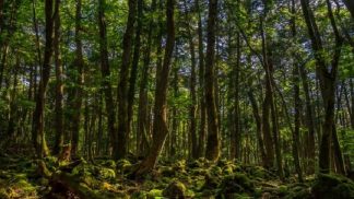 Os locais turísticos mais assustadores do mundo - e um deles fica em Portugal