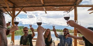 Enoturismo: 10 rotas de vinho pelo mundo