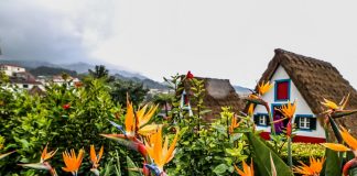 Madeira está novamente nomeada para «Melhor Destino Insular da Europa»