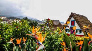 Madeira está novamente nomeada para «Melhor Destino Insular da Europa»