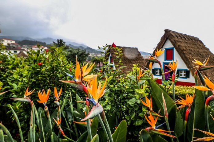 Madeira está novamente nomeada para «Melhor Destino Insular da Europa»