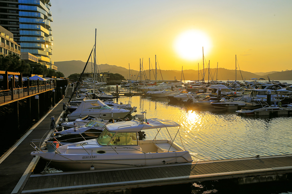 35196147_GI100719PAULOSPRANGER201954