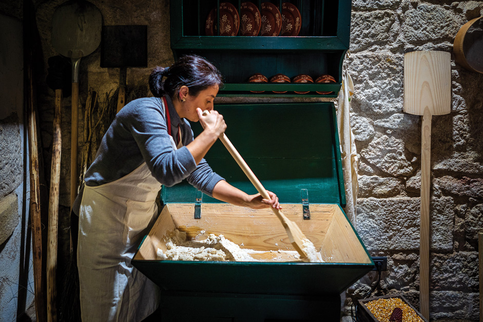 37187207_GI14022020RF00000005