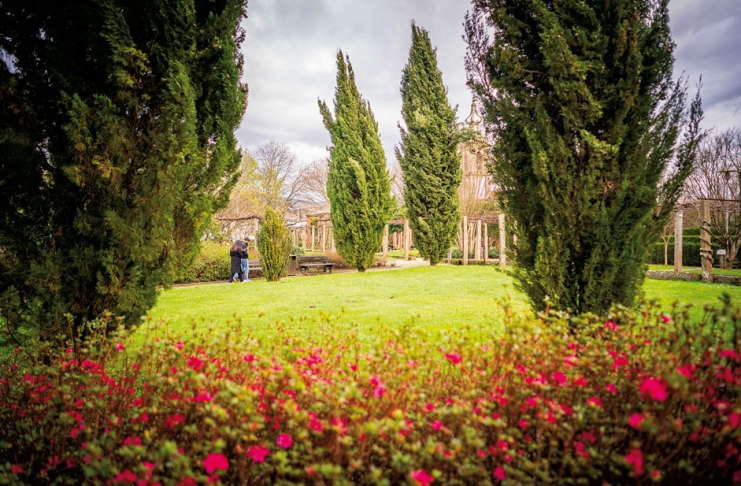 37187252_GI14022020RF00000014