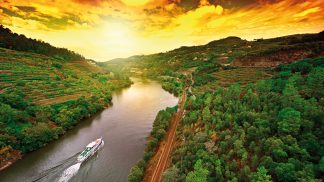 Enoturismo: Vale do Douro vs Região de Champagne