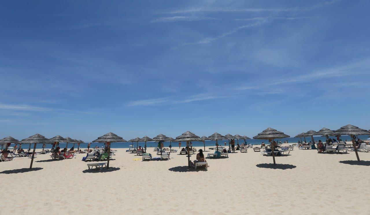 22003300_BINARY_GI08072015PAULOSPRANGER301865_edited_1