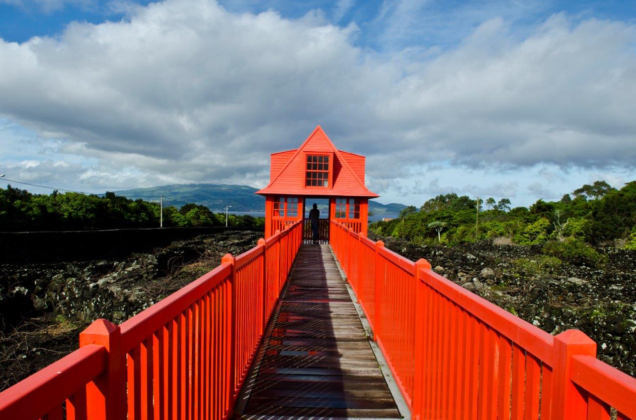 26522417_BINARY_STV1376