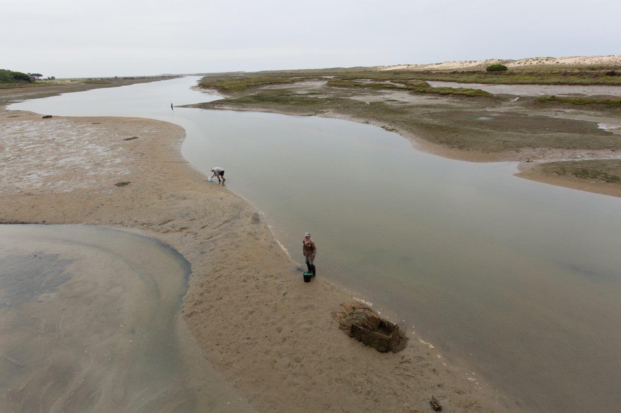 31975409_BINARY_GI140718FILIPABERNARDO0187