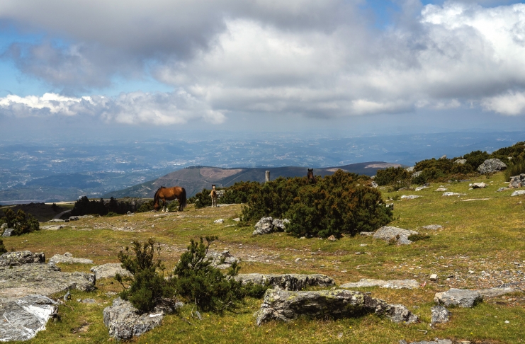 37834296_BINARY_GI18062020RuiFerreira000029