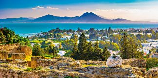 «Noroeste da Tunísia é muito verde e está cheio de vestígios romanos»