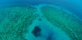 Já imaginou dormir num quarto debaixo de água?