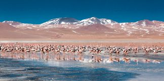 10 maravilhas da natureza para descobrir no próximo ano - para ler na Volta ao Mundo de novembro