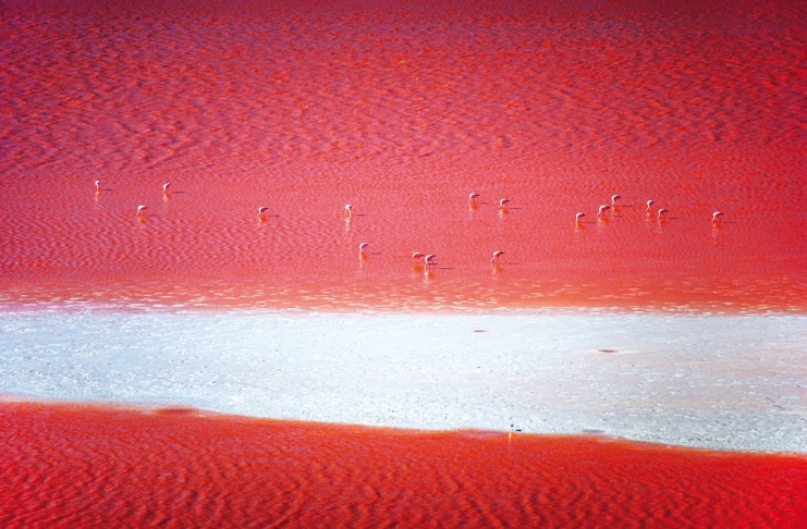 hugo-kruip-BEfavEfrU4c-unsplash