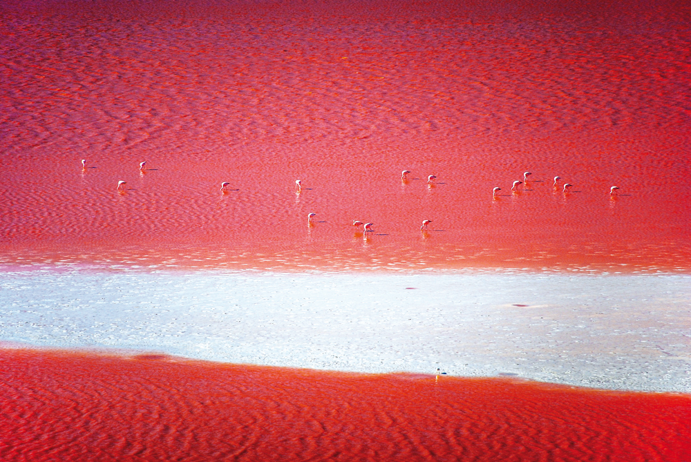 hugo-kruip-BEfavEfrU4c-unsplash