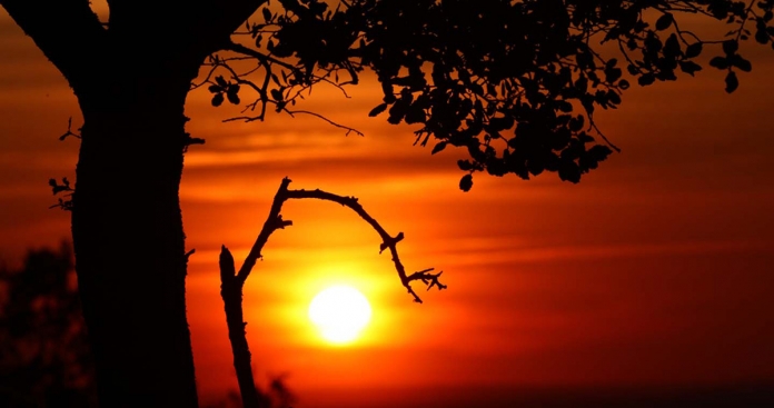 Herdade da Contenda 1_DR_Herdade da Contenda