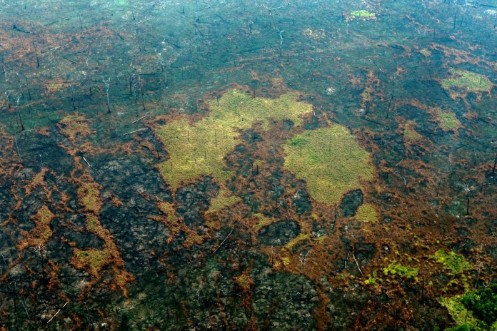 FILES-BRAZIL-AMAZON-DEFORESTATION