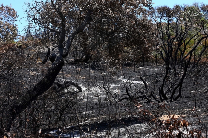 Bushfires on Fraser Island