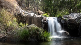 Na Beira Baixa, a culpa é da água