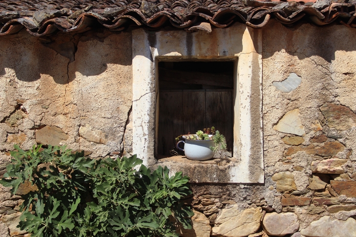 imagem_abertura_conteudo_11