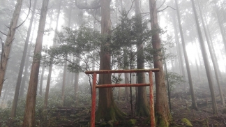 Volta ao Mundo de fevereiro já nas bancas